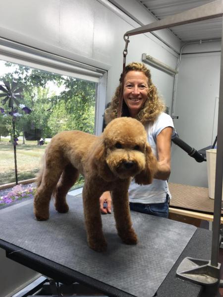 With a stylish new cut, this poodle is looking sharp! 